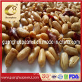 Hot Selling Roasted and Salted Peanut Kernels Best Taste